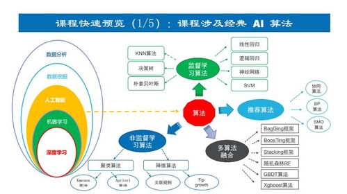 上海人工智能軟件開發培訓如何選？深入解析上海容大職業與淘學培訓